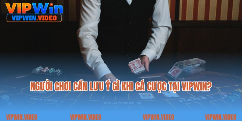 Người chơi cần lưu ý gì khi cá cược tại sân chơi Vipwin?