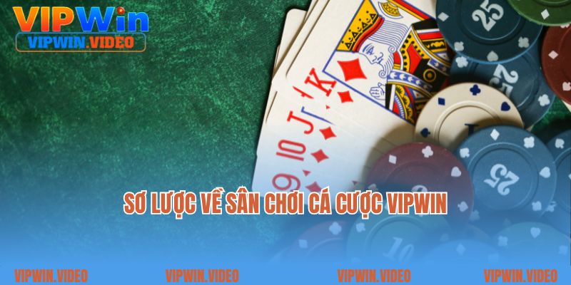 Sơ lược về sân chơi cá cược Vipwin