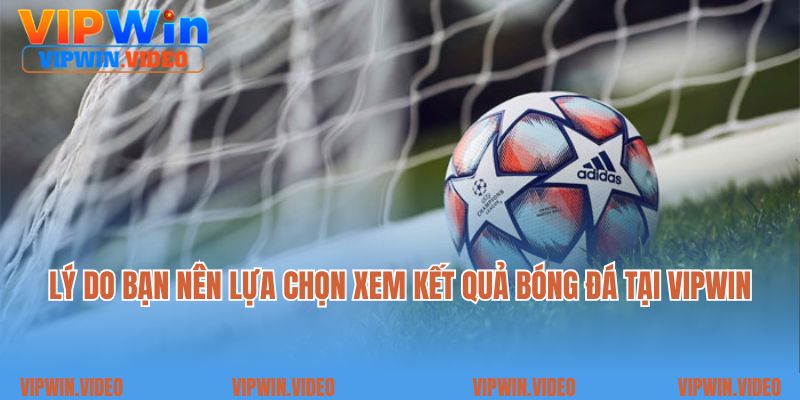 Lý do bạn nên lựa chọn xem kết quả bóng đá tại VIPWIN
