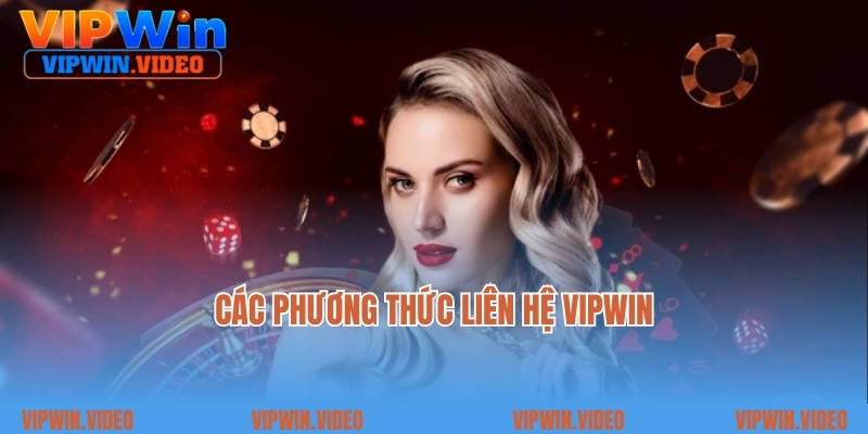 Các phương thức liên hệ Vipwin